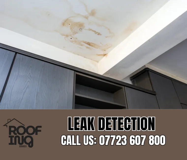 Roof Leak Detection in South Molton